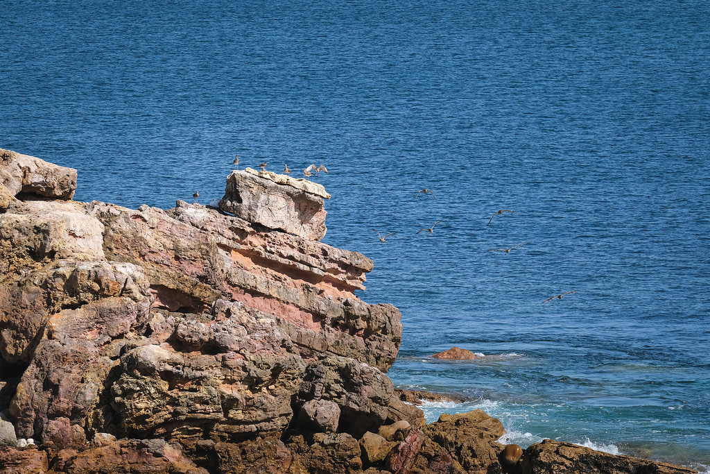 DSCF7816-XL.jpg