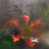 upsammy.bandcamp.com