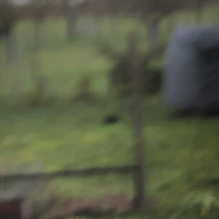 scntstlab.bandcamp.com